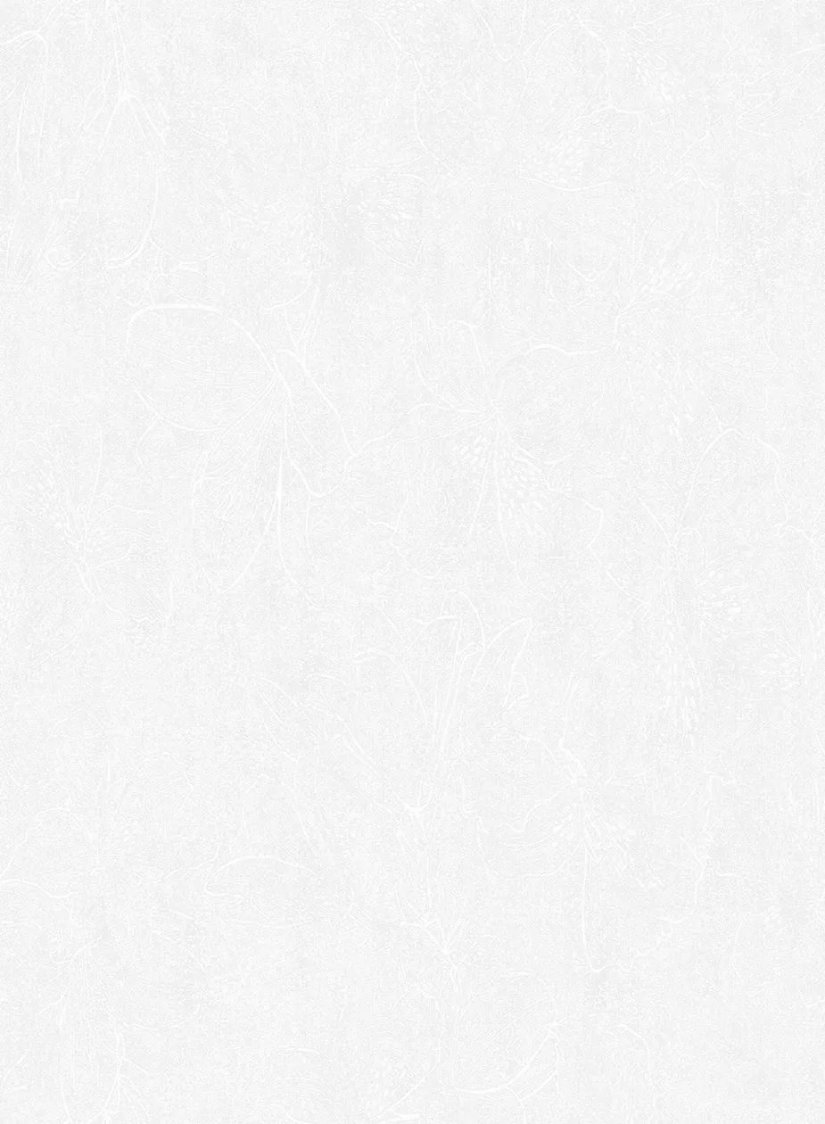 爱丽丝 231 精选 爱丽丝 231 · 24