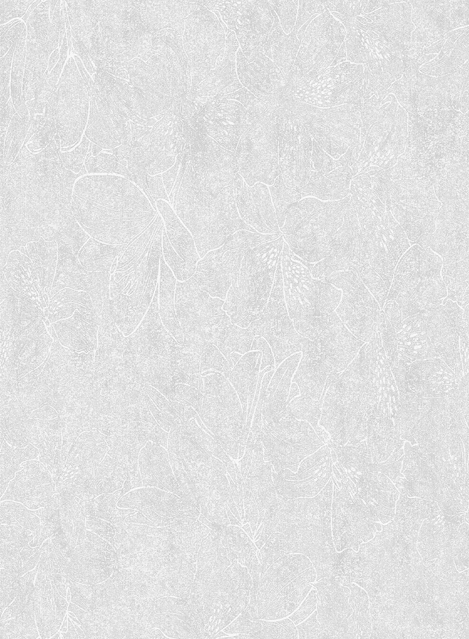 爱丽丝 231 精选 爱丽丝 231 · 29