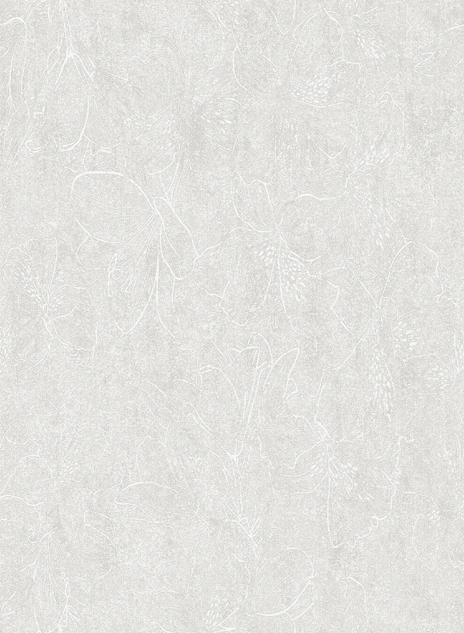爱丽丝 231 精选 爱丽丝 231 · 41