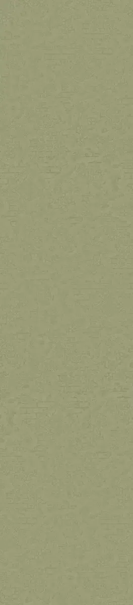 101 系列精选 10121